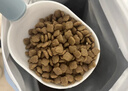 伯纳天纯狗粮小型犬粮生鲜升级款鸭肉梨狗粮泰迪比熊成犬幼犬粮2.5kg/5斤 实拍图
