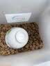 雷米高（RAMICAL）澳丽得 海洋鱼味全价幼猫成猫猫粮10kg(500g*20分袋）20斤 实拍图