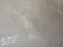 蒙牛特仑苏嗨Milk脱脂纯牛奶250ml*10盒 0脂肪 精美京绣 送礼礼盒 实拍图