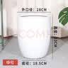 田园花木特大号陶瓷花盆大口径家用客厅落地发财树龟背竹专用白色几何花瓶 低腰白锥形中号+托盘 实拍图