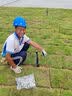 钻石牌（DIAMOND） 壁扇壁挂风扇挂壁式电风扇家用客厅墙壁摇头挂扇挂式工业电扇大风力宿舍餐厅 FB-40-3铝叶机械（18英寸） 实拍图