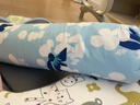babycare婴儿安抚枕头宝宝多功能抱枕透气枕头6月-6岁-比奇角恐龙39*12cm 实拍图