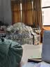 美尔耐柔纱帘百叶窗卫生间浴室防水厨房厕所遮光遮阳免打孔防晒带窗帘盒 8000-免打孔防水白色 1平方米 实拍图
