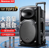 纽曼B12广场舞音响12英寸户外大音量蓝牙拉杆音箱大功率便携式移动演出k歌低音炮地摊摆摊喇叭双麦版 实拍图