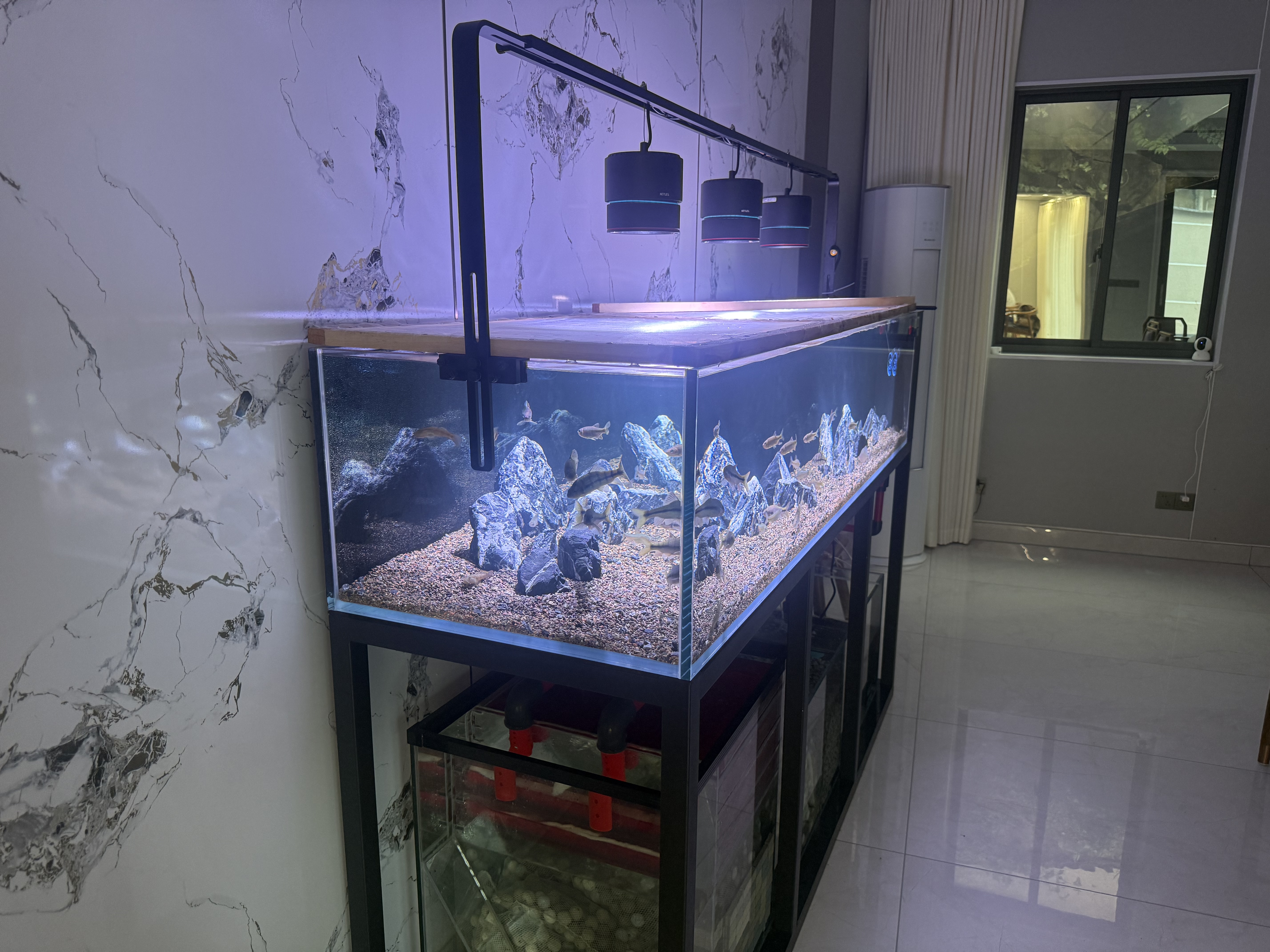 尼特利（NETLEA）筒灯水草灯鱼缸灯全光谱爆藻灯植物养殖灯 【原生缸WIFI版】90W新一代筒灯 实拍图