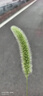 雷柏（Rapoo）M300L 中小手无线/蓝牙多模办公鼠标 人体工学时尚轻音便携 充电锂电池至高约230h续航5档dpi 浅灰 实拍图