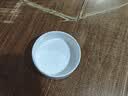 蔻丝可调节防漏食陶瓷猫碗护颈双碗固定架防打翻宠物猫狗食盆水碗 实拍图