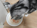 京东京造 红肉金枪鱼猫罐头混合味85克*6 浓汤猫零食湿粮补水鱼肉罐 实拍图