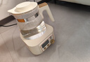 小白熊全玻璃恒温水壶调奶器婴儿电热水壶烧水壶冲奶1.2L 5025随机发货 实拍图