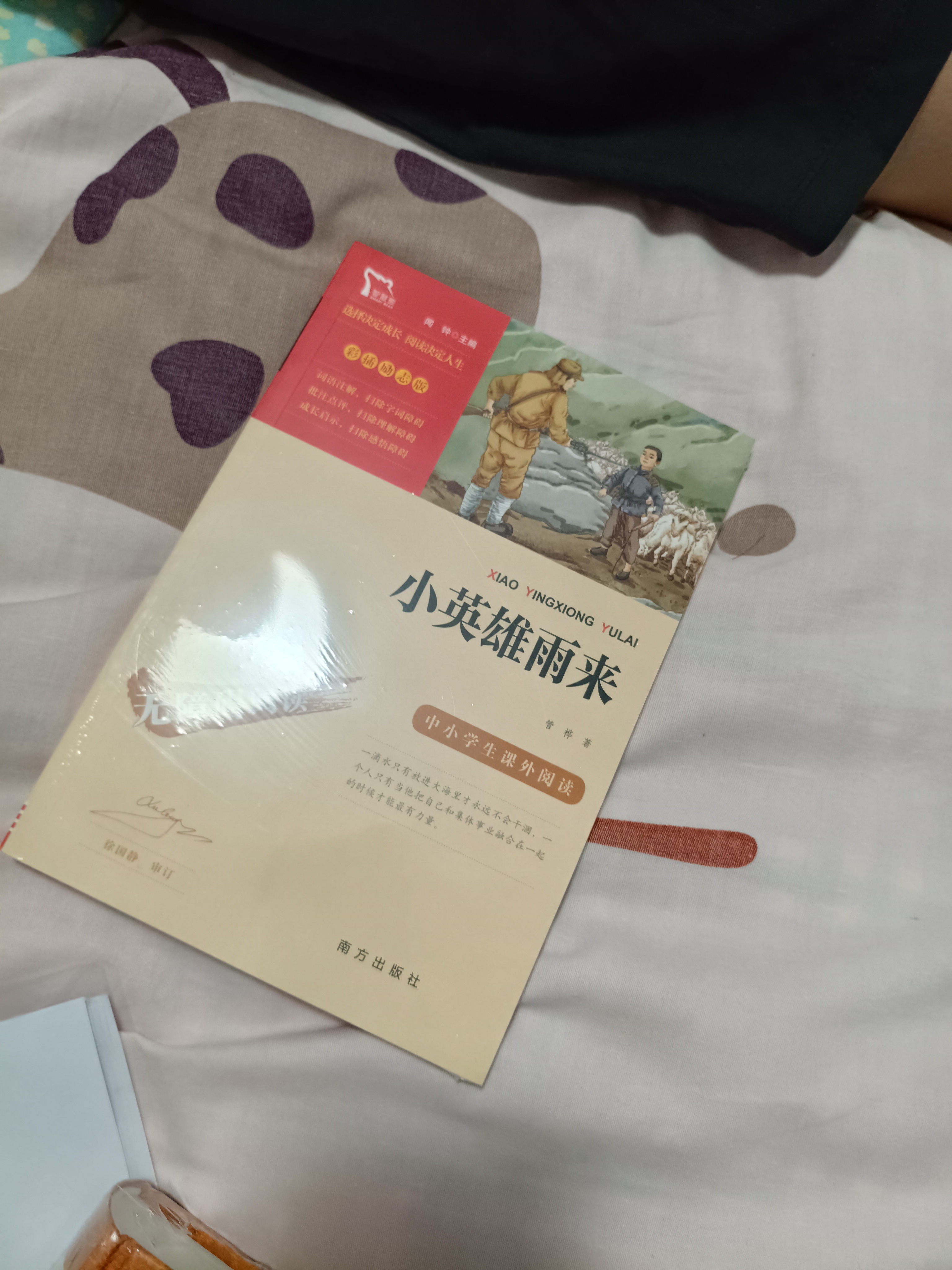 小英雄雨来 四年级下册推荐课外阅读书 经典红色系列小学四年级推荐阅读中小学生革命传统教育读本 实拍图