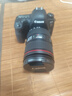 佳能（Canon）【官方旗舰】6D2 专业全画幅单反相机 4K延时短片 高清人像6D二代 佳能复古相机  6d2 24-105套机 实拍图