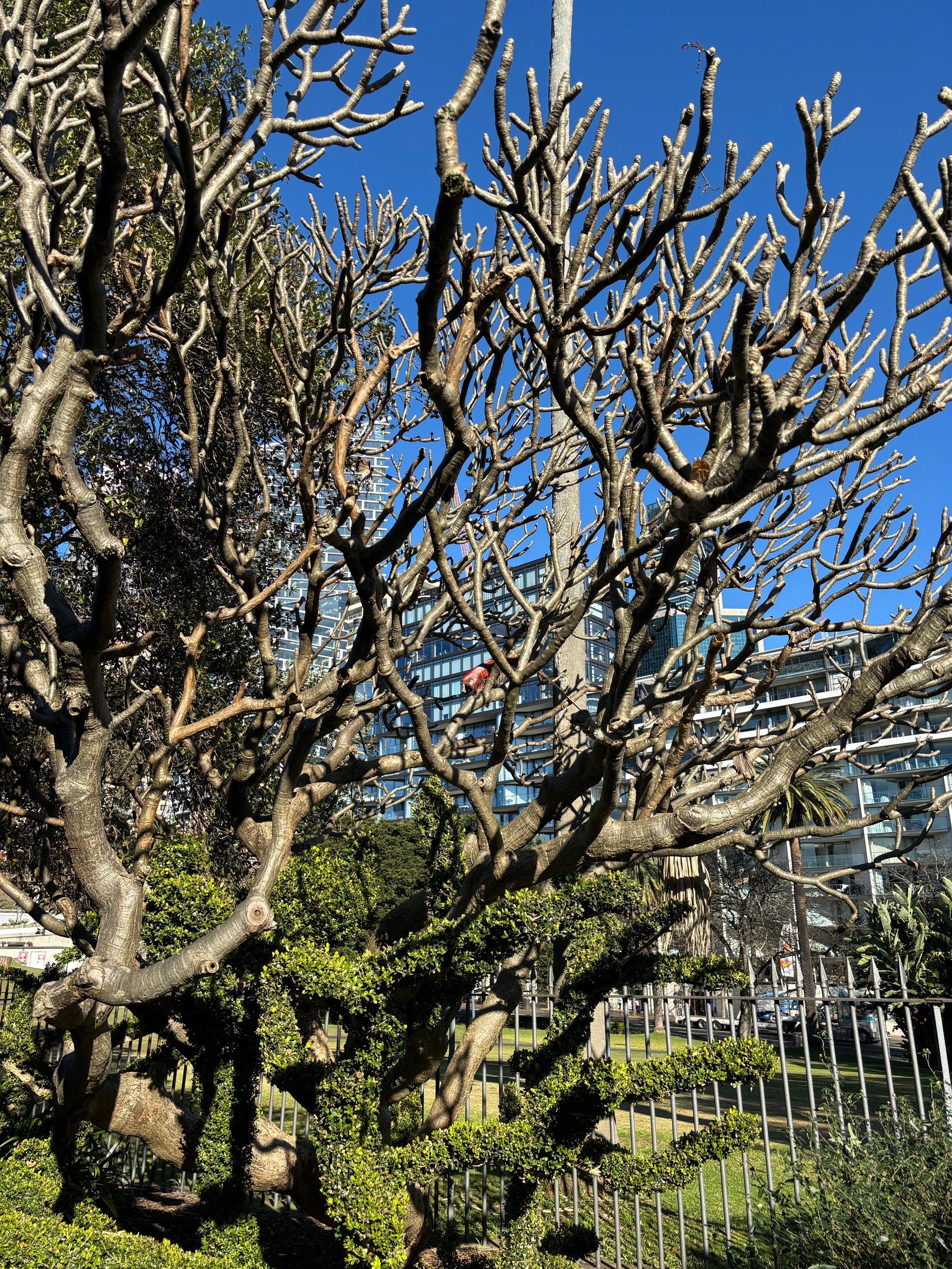JEEP吉普休闲裤男夏季直筒裤子男士宽松潮流工装裤男裤 深灰 2XL 实拍图