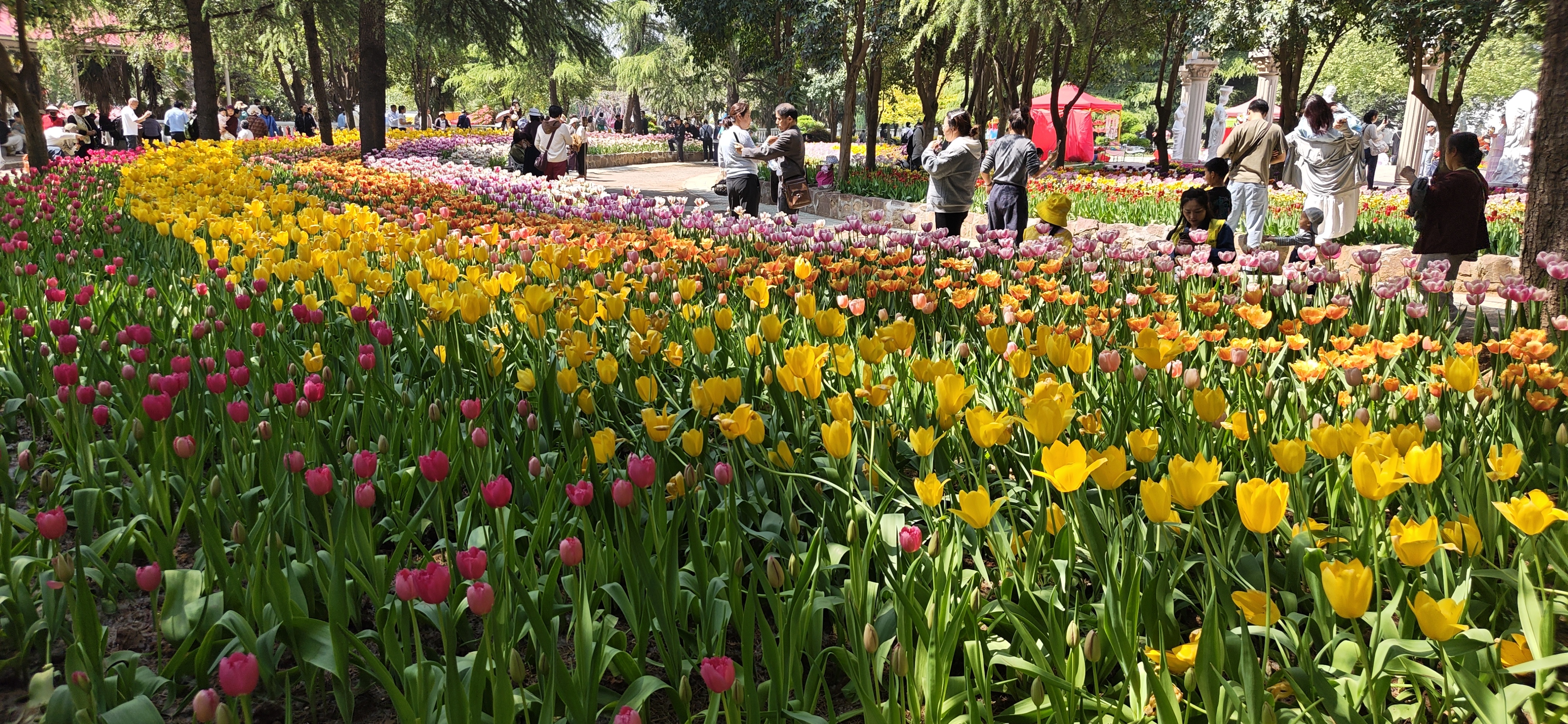北岳露营推车可折叠户外手推野餐车营地拖车拉杆小拉车桌板烧烤野营车 桌板套餐-便携款煤炭黑+曜石桌板 实拍图