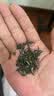 牛街正興徳新茶老字号茉莉花茶茶叶茉莉白雪峰250g散装老北京传统包 实拍图