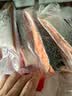 美威冷冻智利严选三文鱼排中段4块净重480g大西洋鲑鱼 进口鱼类 海鲜 实拍图