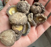 十月稻田 金钱菇 200g 干香菇 小香菇 山珍菌菇干货 煲汤火锅炒菜食材 实拍图