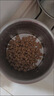 皇家幼犬成长礼盒（幼犬粮 800g+成犬粮 50g*5）数量有限 限时抢购 实拍图