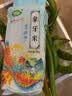 绿宝贡当季新米南方农家象牙猫牙米优质丝苗晚稻 象牙香米500g 实拍图