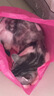 麦富迪猫粮 超肉粒冻干双拼成猫粮美毛护肠三文鱼10kg/20斤【宠物金选】 实拍图