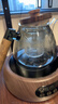 TEAHUE煮茶壶电陶炉煮茶器烧水壶泡茶炉2025新款养生壶家用功夫茶具套装 实拍图
