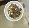 LEGENDSANDY蓝氏 全价猫粮成猫幼猫生骨肉冻干粮 猎鸟乳鸽系列兔肉口味1.5kg 实拍图