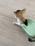 HELLOJOY撸猫手套狗狗猫咪梳毛去浮毛洗澡按摩神器宠物梳子猫毛清理器 实拍图