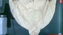 洗衣服鞋子上门服务 取送上门洗衣洗鞋子 任洗羽绒服/棉服/西装/风衣外套/运动鞋/小白鞋/网面鞋洗护 衣鞋任洗5件 09:00-12:00 上门取件 实拍图