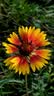 善存男士复合维生素 B族锌硒多种VCED钙铁镁生物素B6B12 80粒*2 实拍图