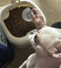 比瑞吉狗粮中大型老年犬优选系列草本冻干枸杞党参浓缩冻干12kg7岁+ 实拍图
