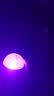 【新人专享1分】爆款北极光投影灯台灯星空灯卧室浪漫情调房间极光氛围暖光灯睡眠礼物卧室投影灯 【新人专享1分】极光16色氛围灯（基础非遥控款） 实拍图