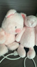 名创优品（MINISO）福莉丝猪系列-乖乖坐姿公仔毛绒玩具玩偶抱枕娃娃生日礼物女 实拍图