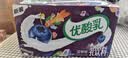伊利【时代少年团同款】优酸乳车厘子味250ml*24盒 乳饮料牛奶饮品 实拍图