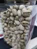 百草味盐焗味开心果1kg 大颗粒无漂白应季新货休闲零食罐装团购包装混发 实拍图