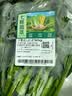 宁夏菜心约250g 实拍图