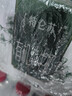 蒙牛特仑苏有机纯牛奶梦幻盖250ml*16盒 送礼佳选礼盒装 实拍图
