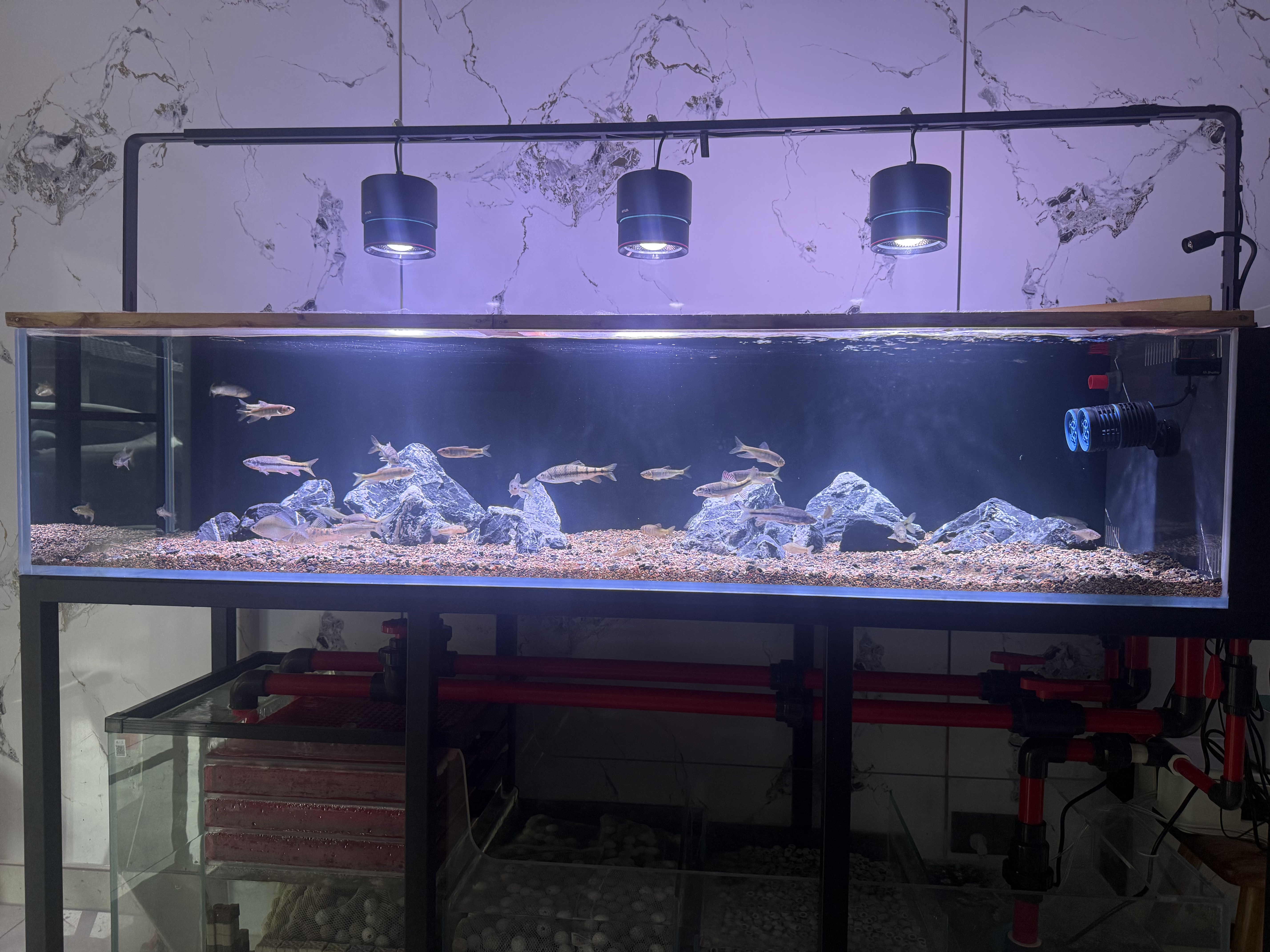 尼特利（NETLEA）筒灯水草灯鱼缸灯全光谱爆藻灯植物养殖灯 【原生缸WIFI版】90W新一代筒灯 实拍图