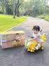 奥智嘉儿童玩具车1-3岁婴儿学步车香蕉飞行手推车摇摇马周岁生日礼物 实拍图