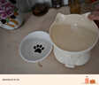 甜浪海猫碗陶瓷猫粮碗狗碗猫食盆猫咪喝水碗高脚斜口防打翻护颈喂食碗 实拍图