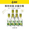蜂解青金桔蜂蜜水 360g*6瓶整箱 果蔬汁饮料0色素便携式果味健康饮品 实拍图