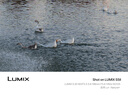 松下（Panasonic）Lumix S5M2 全画幅相机 L卡口 微单相机 无反数码相机 【20-60mm F3.5-5.6 原封套机】 实拍图