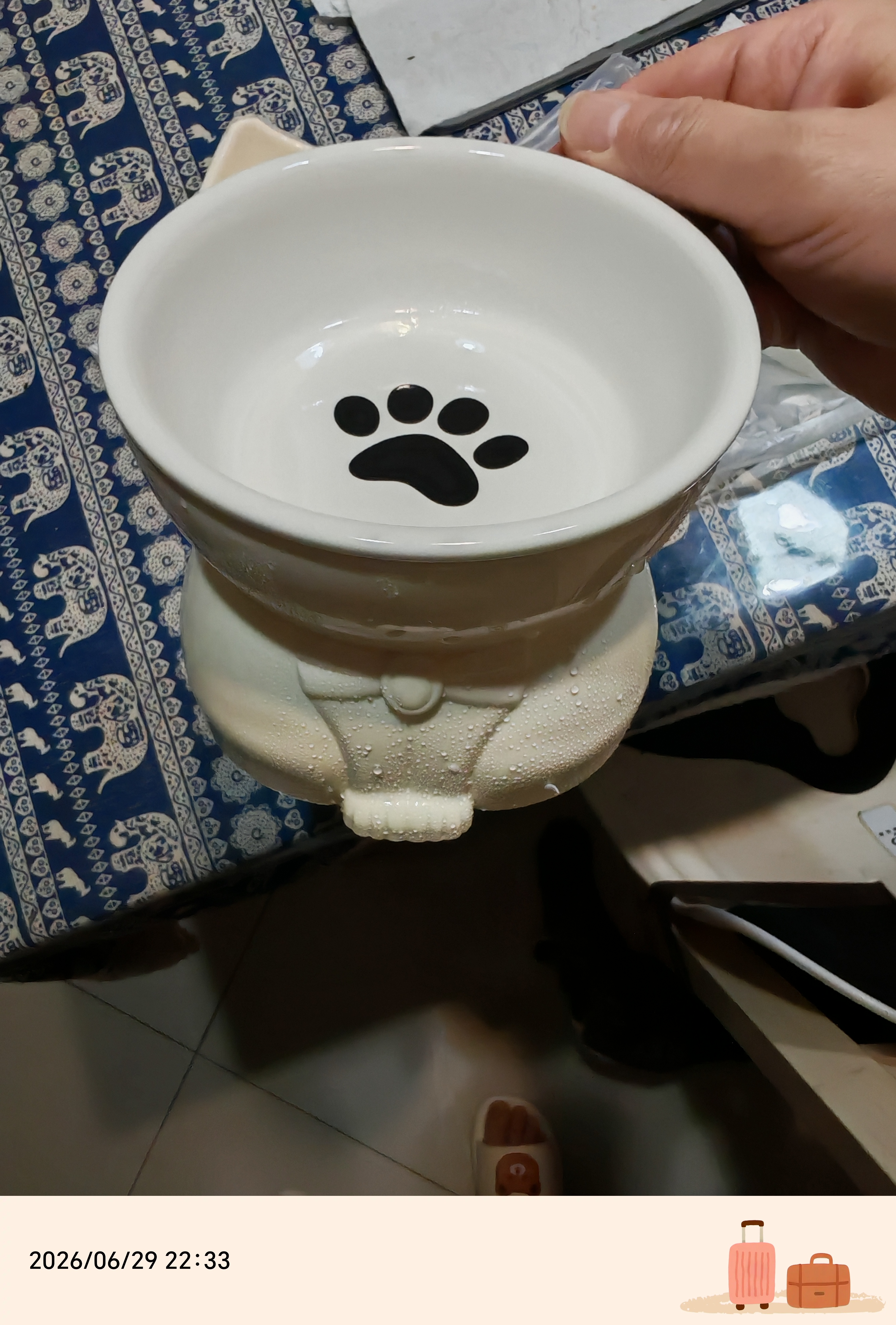 甜浪海猫碗陶瓷猫粮碗狗碗猫食盆猫咪喝水碗高脚斜口防打翻护颈喂食碗 实拍图