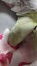尼多熊新生婴儿袜子春夏薄款棉袜a类0到3月初生婴儿无骨宝宝网眼 实拍图