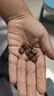 疯狂小狗小耳朵冻干夹心狗粮泰迪比熊中小型幼成犬通用护肠胃1.5kg犬粮3斤 实拍图