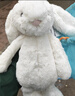 Jellycat害羞乳白色邦尼兔动物毛绒玩偶安抚玩偶娃娃送礼生日礼物 害羞乳白色邦尼兔 Small 实拍图