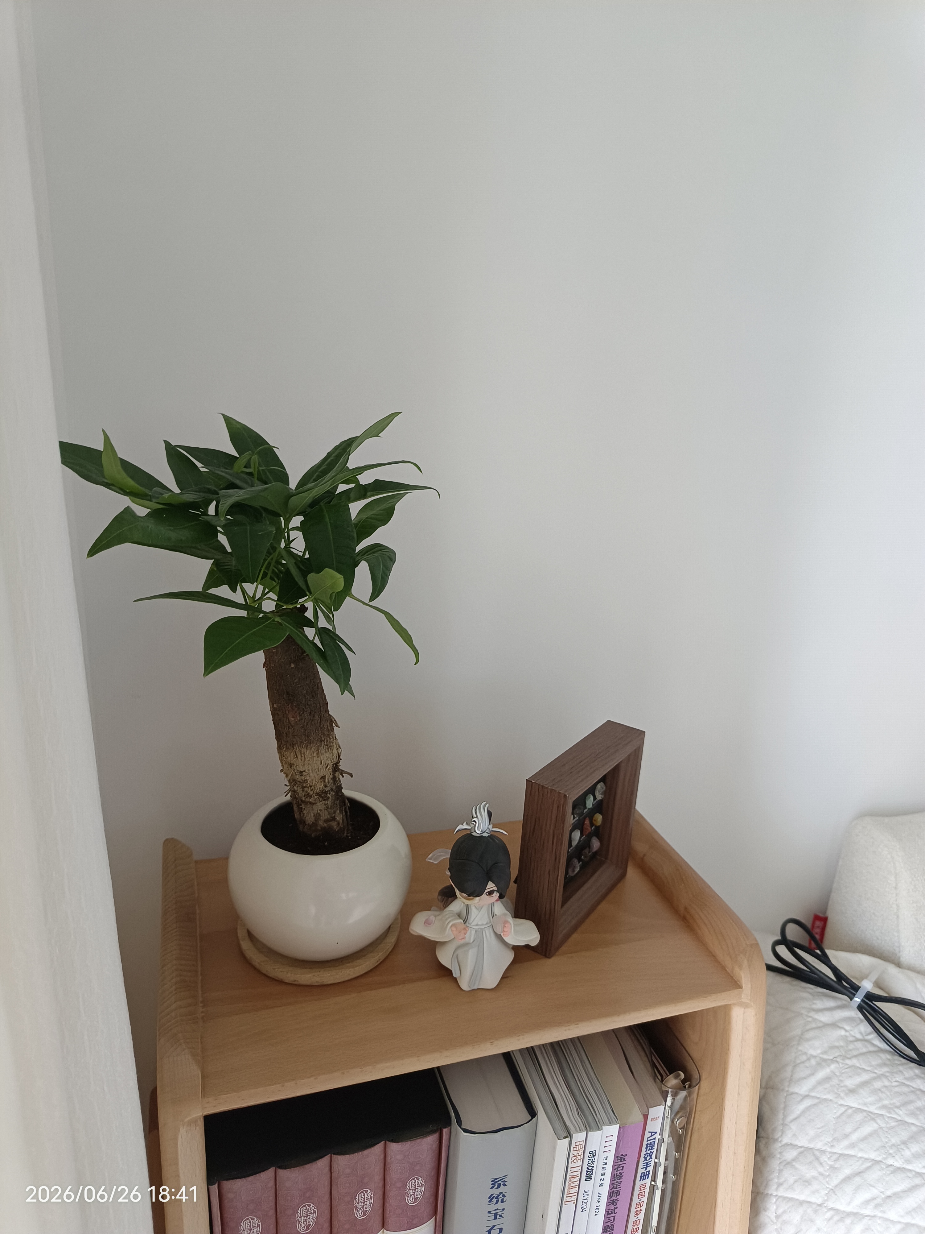 花翁发财树小盆栽绿植物室内客厅装饰中式盆景办公室桌面摆件源头直发 实拍图