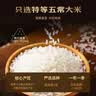 锋味派金枪鱼沙拉酱三角饭团400g/4个儿童学生懒人早餐早点速食微波即食 实拍图