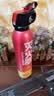 火焰战士 灭火器车载家车用干粉灭火器便携新能源消防器材1A21B增强型610G 实拍图