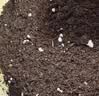 史丹利3L包装营养土园艺有机土通用型种花种菜养花专用泥炭土壤种植土 实拍图