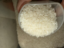十月稻田 绿色食品 五常大米 10斤（东北大米 香米 5kg/公斤） 实拍图