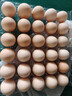 云南鲜生菜约400g 实拍图